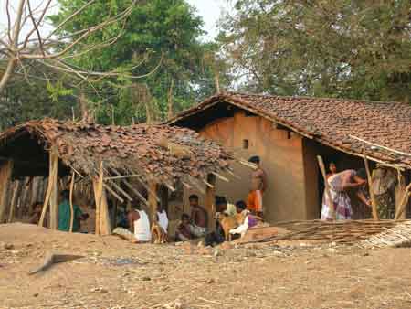 Adivasi Hut