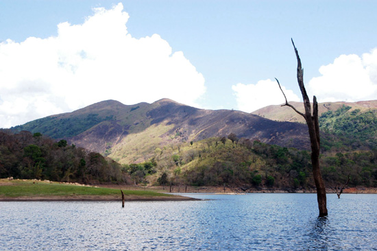 Hotels At Idukki Travel Travel Special Hotels At Idukki 750