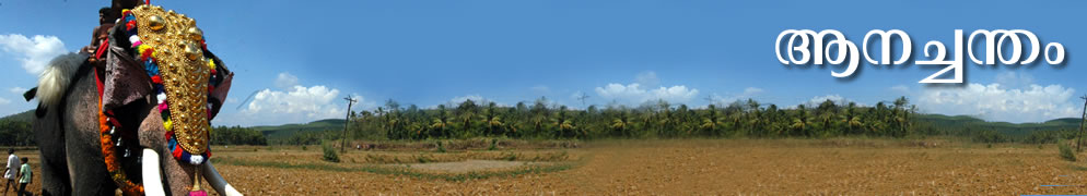 AnnaChandam Head