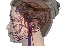 Fun & Info @ Keralites.net