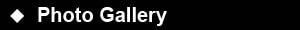 Haneefa Gallery