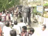Guruvayoor Anayottam