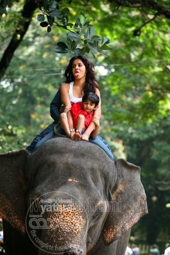 Ranjini Haridas Nazriya Nazim Kodanad Photogallery Celebrity Ranjini Haridas Nazriya Nazim Kodanad Photogallery Celebrity