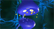 3D  Animation- ADHD