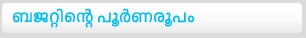 budget 2011  pdf