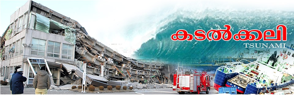 japan tsunami