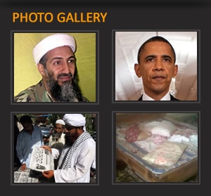 BinLaden_Gallery