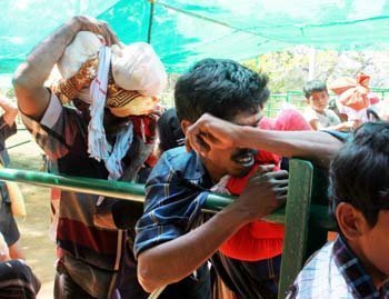 Sabarimala pilgrims are hit by fatigue after trekking the hilly terrain and take a nap to relax. Mathrubhumi photographer C Viju clicks the slumber and the catnaps taken by the Ayappa swamis, both young and old.<br/>

