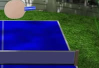 ping pong