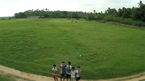 16410_596092.jpg