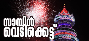 pooram 2015