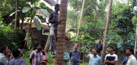 തെങ്ങുകയറ്റ പരിശീലനം 