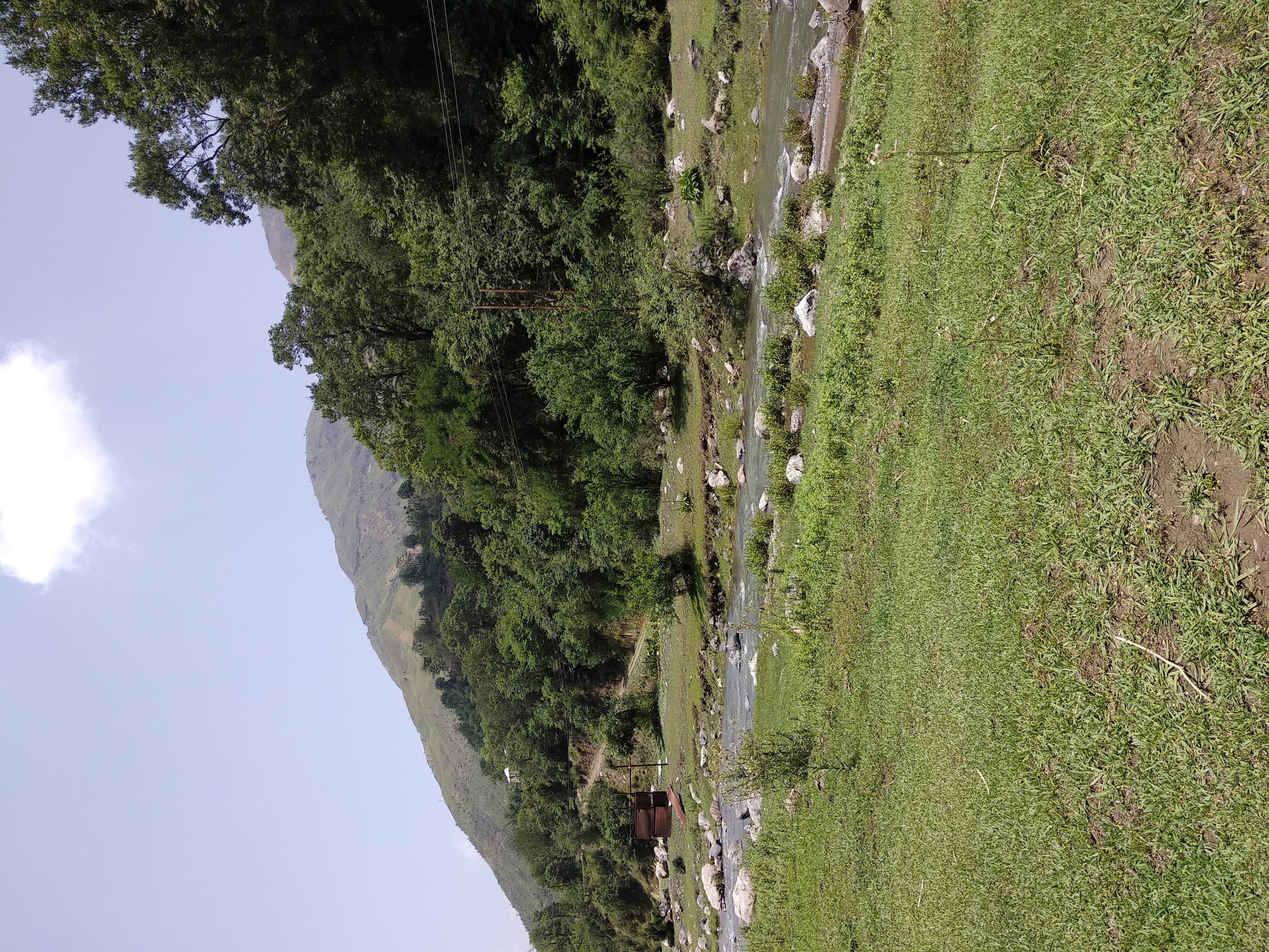 niyaser valley